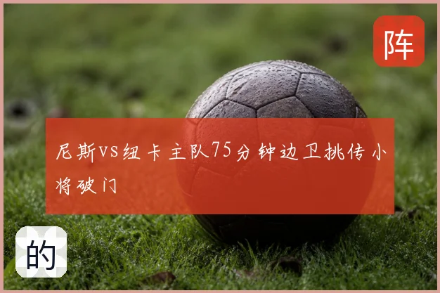 尼斯vs纽卡主队75分钟边卫挑传小将破门